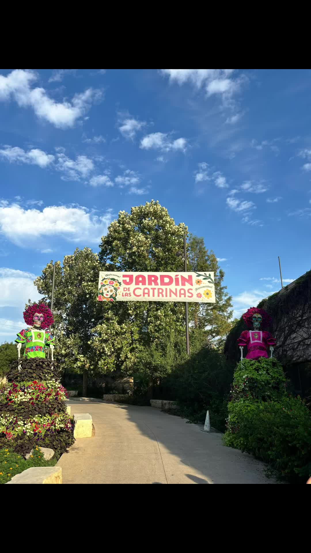 San Antonio Botanical Garden's Year-Round Beauty
