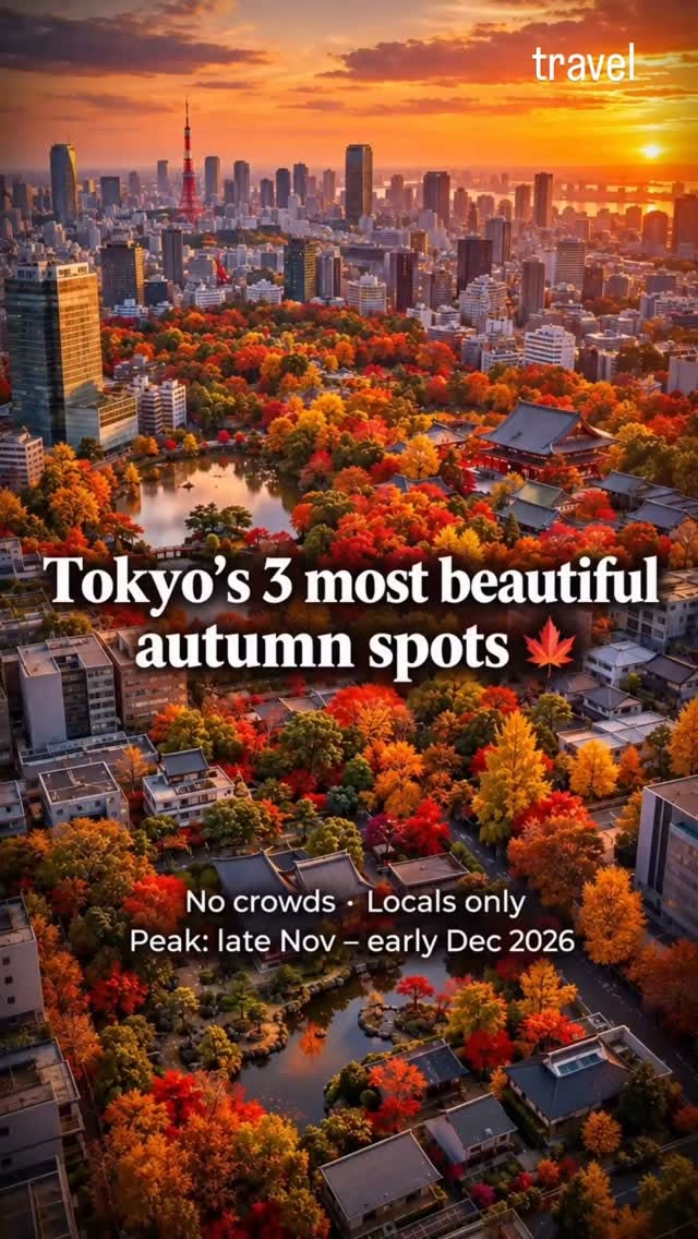 Tokyo's Top 3 Autumn Garden Escapes