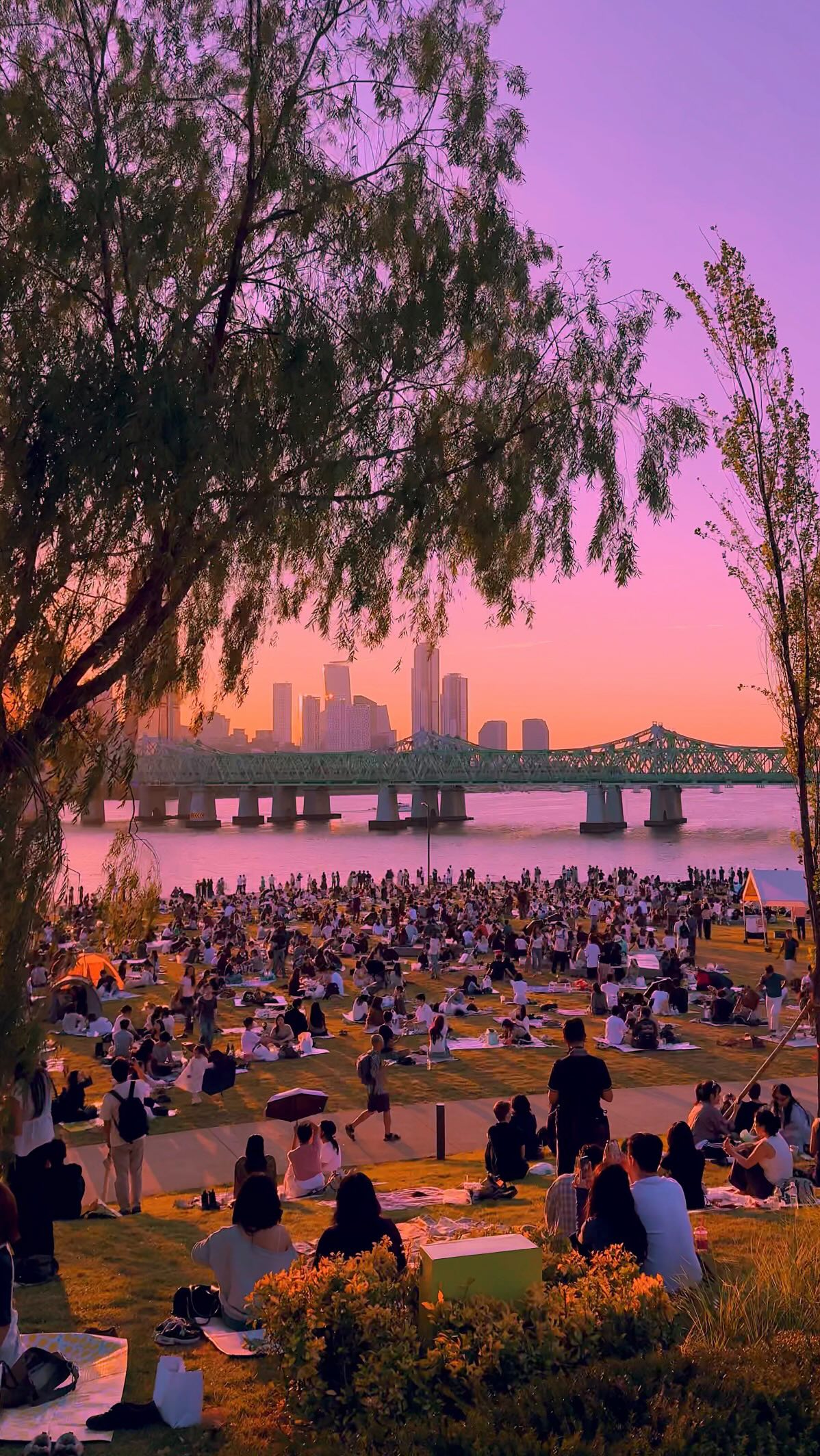 Seoul's Yeouido Hangang Park