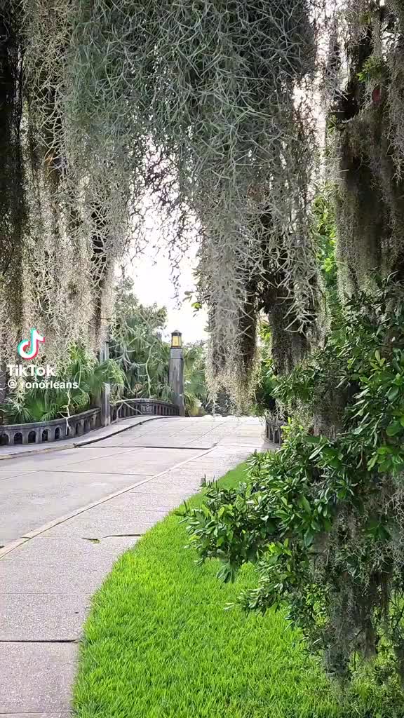New Orleans City Park Attractions Offer Art
