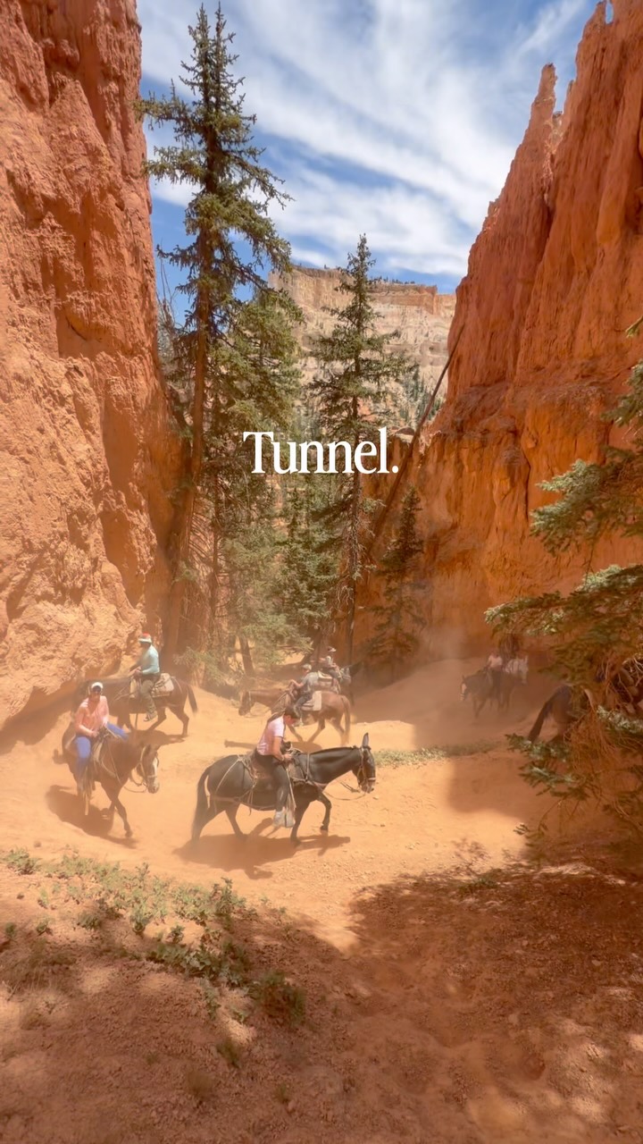 Horseback Riding Through Bryce Canyon's Eye of the Needle