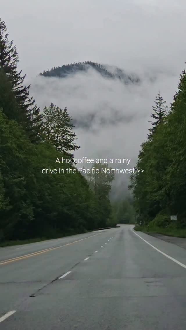 Pacific Northwest Forests And Mountains Drive