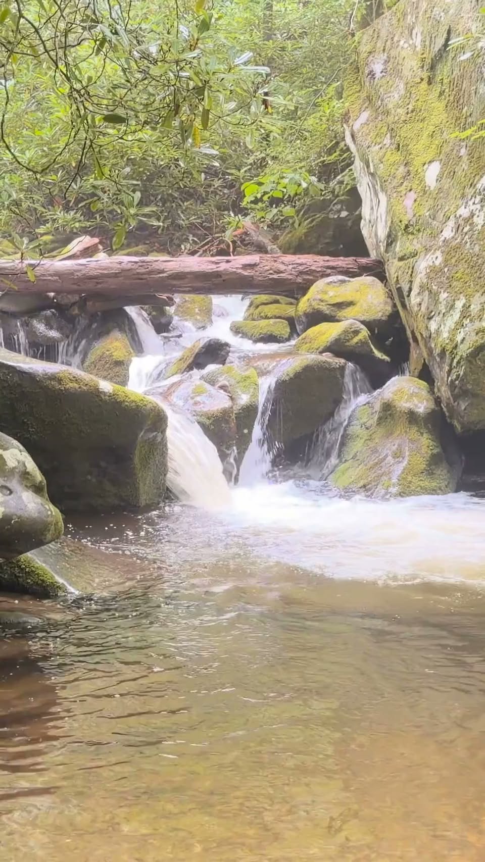 Roaring Fork Motor Nature Trail Scenic Drive
