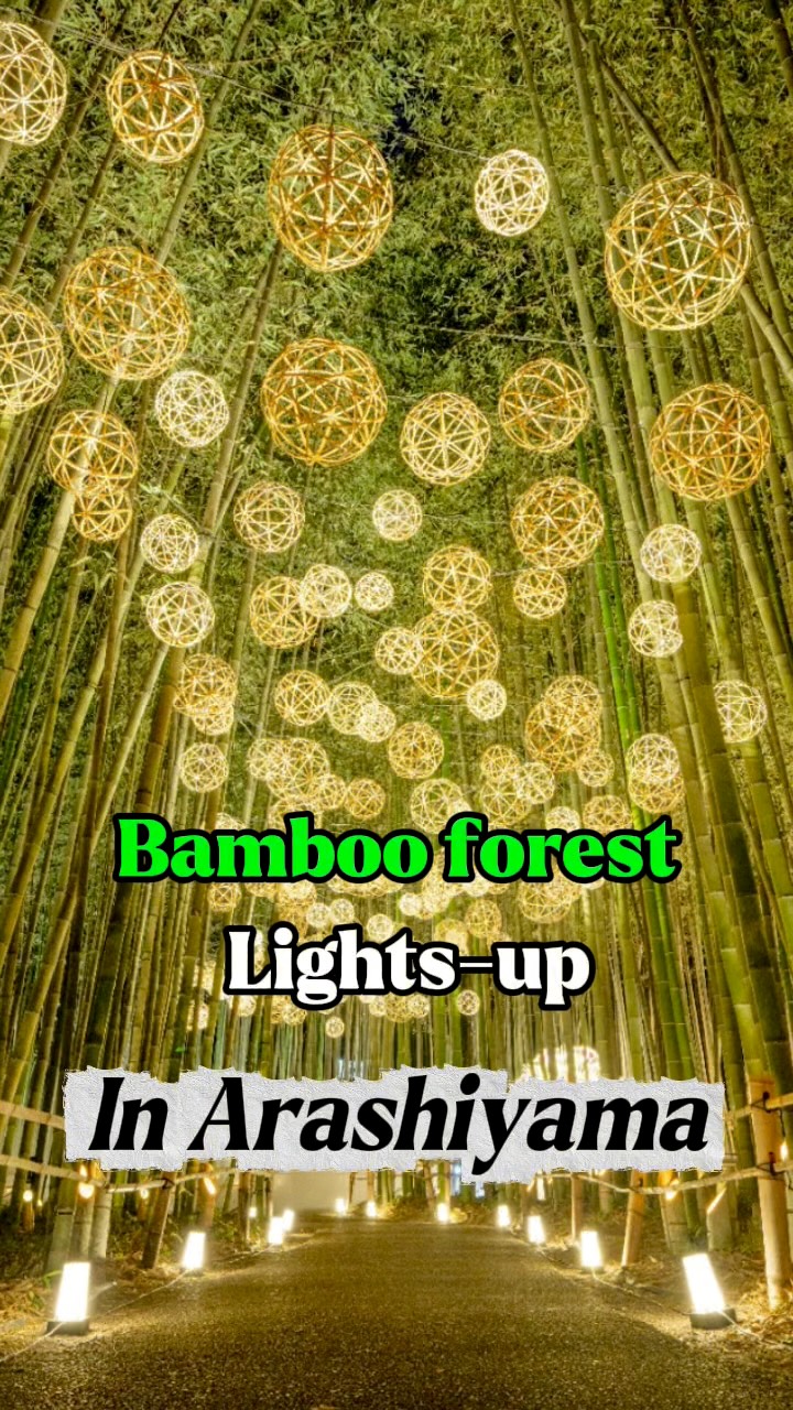 Arashiyama Bamboo Forest Autumn Night Illumination Event