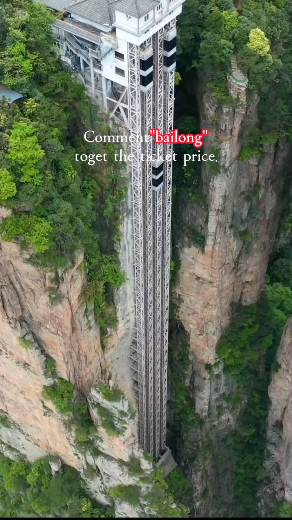 Zhangjiajie's Natural Wonders and Sky Ladder