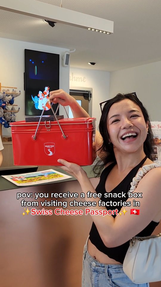 Swiss Cheese Passport Experience At Factories