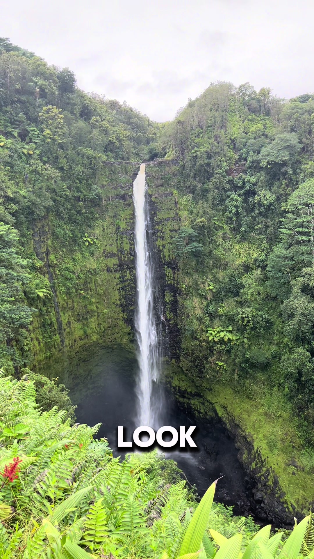 Big Island Itinerary: Waterfalls, Beaches, and Coffee