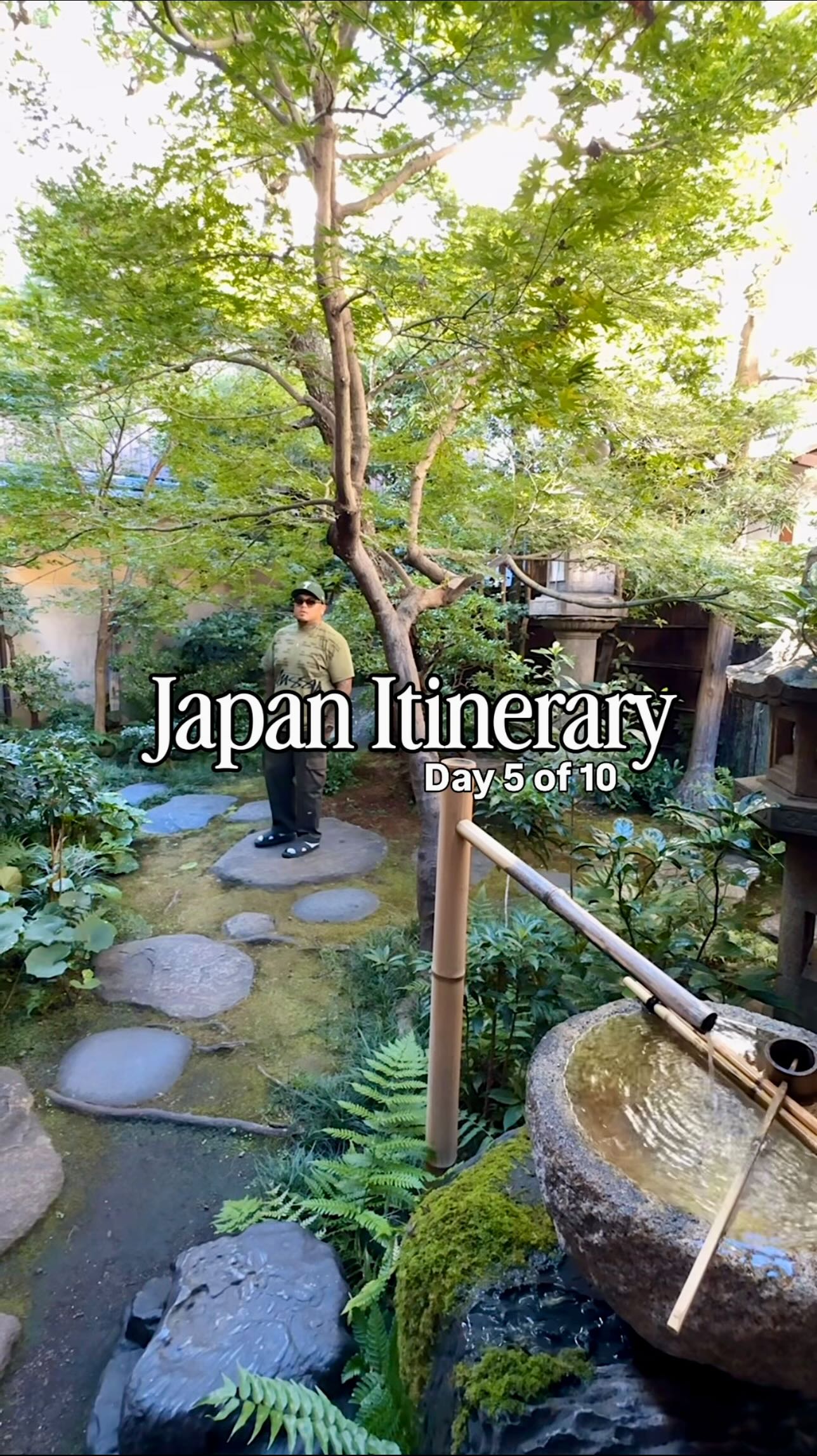 Kyoto's Cultural Gems And Culinary Delights