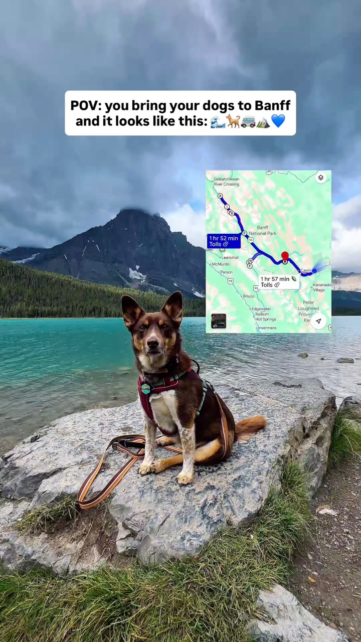 Dog-Friendly Canadian Rockies Adventures