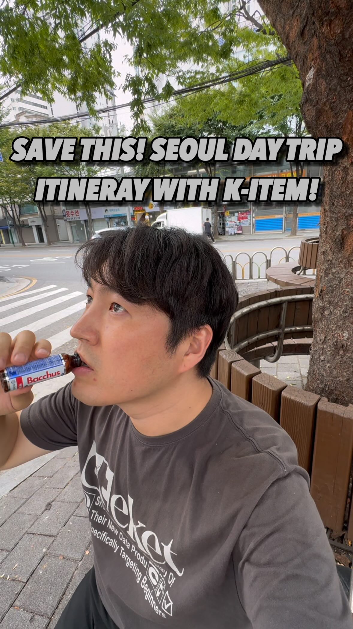 Seoul Day Trip: Palaces, Markets, and Views