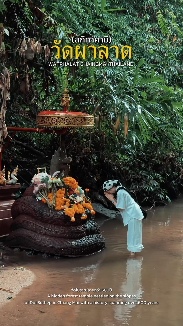 Hidden Forest Temple Near Chiang Mai
