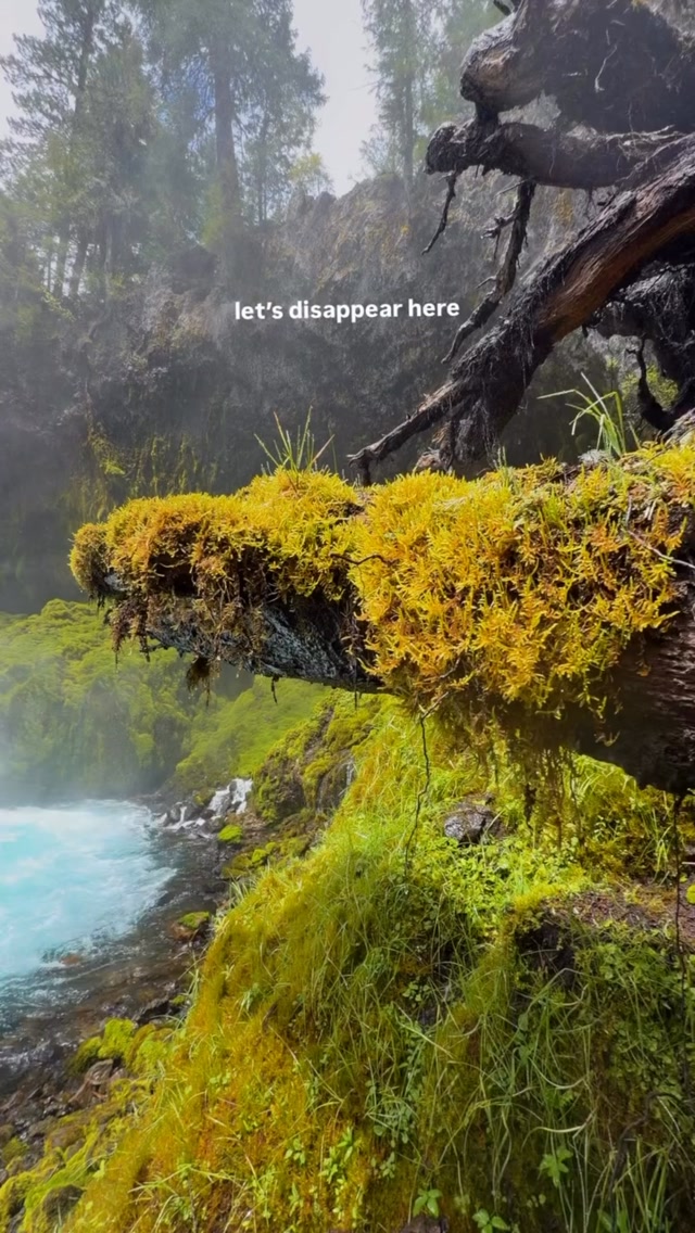 Koosah Falls: Oregon's Pacific Northwest Gem