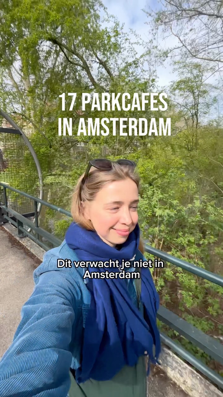 Amsterdam's Cozy Park Cafes