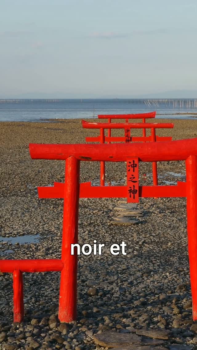 Floating Torii Gates Amidst Dramatic Tidal Shifts
