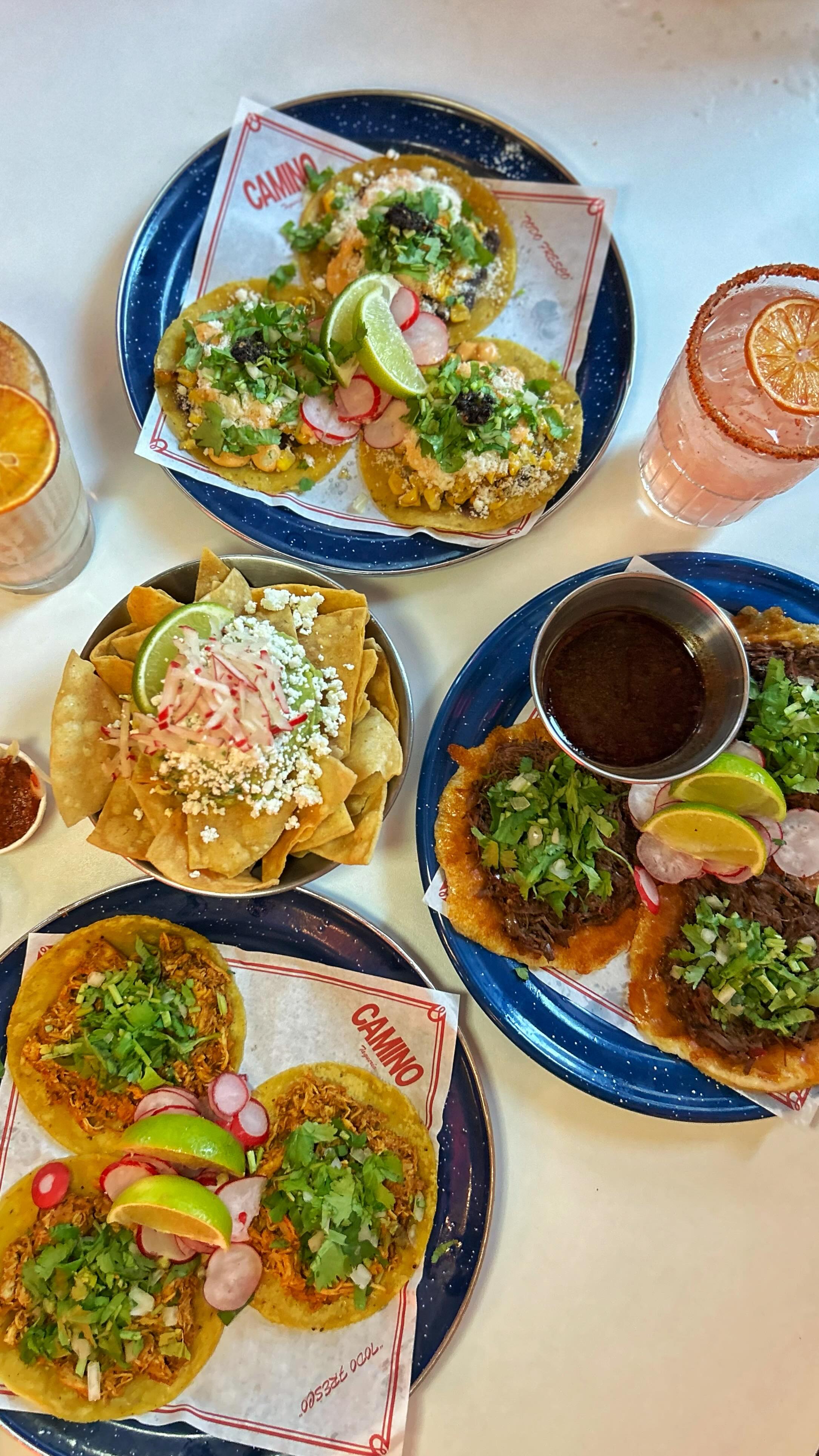 Camino Taqueria: Affordable Tacos & Cocktails