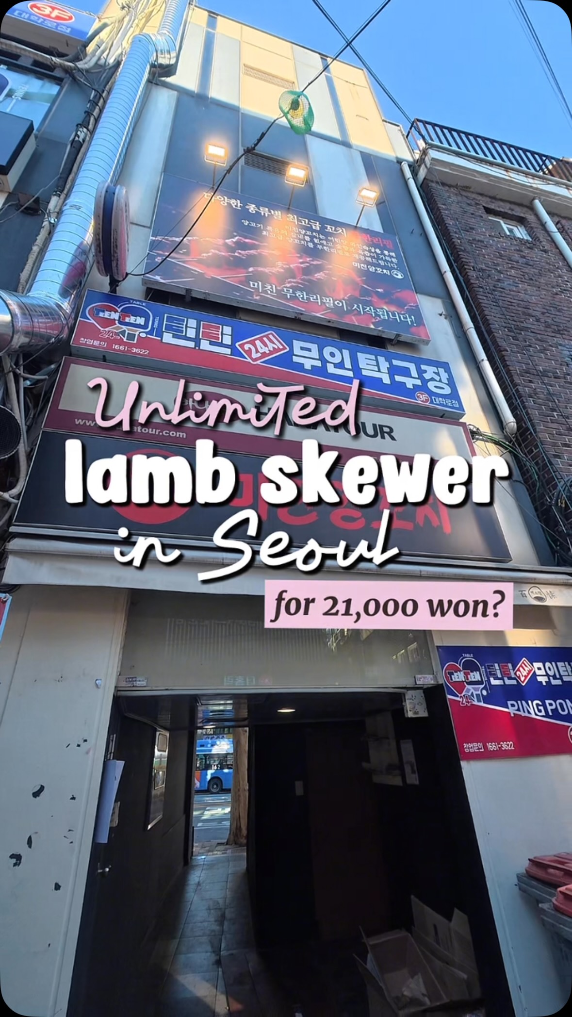 Korean BBQ Lamb Skewers and Tteokbokki