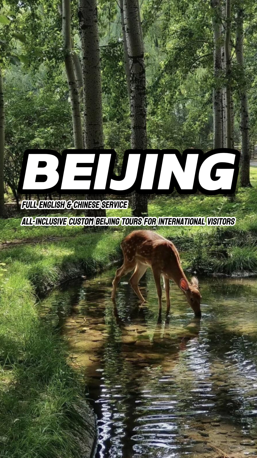 Beijing's Autumn Family Adventures