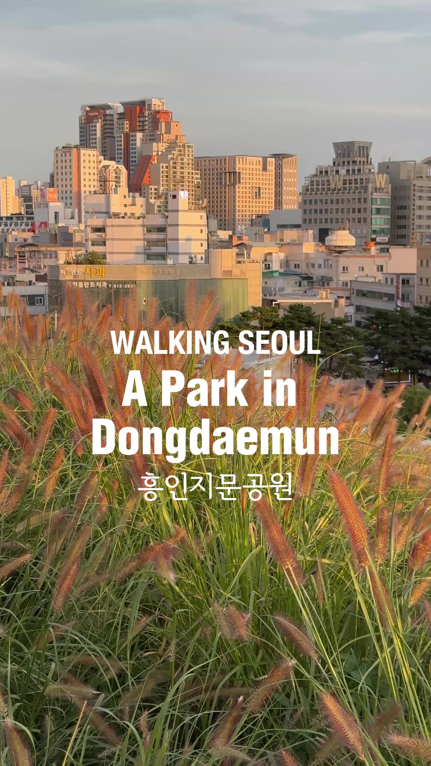 Dongdaemun's Historic Sites and Scenic Views