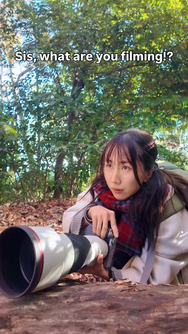 Exploring Hakone's Natural Beauty