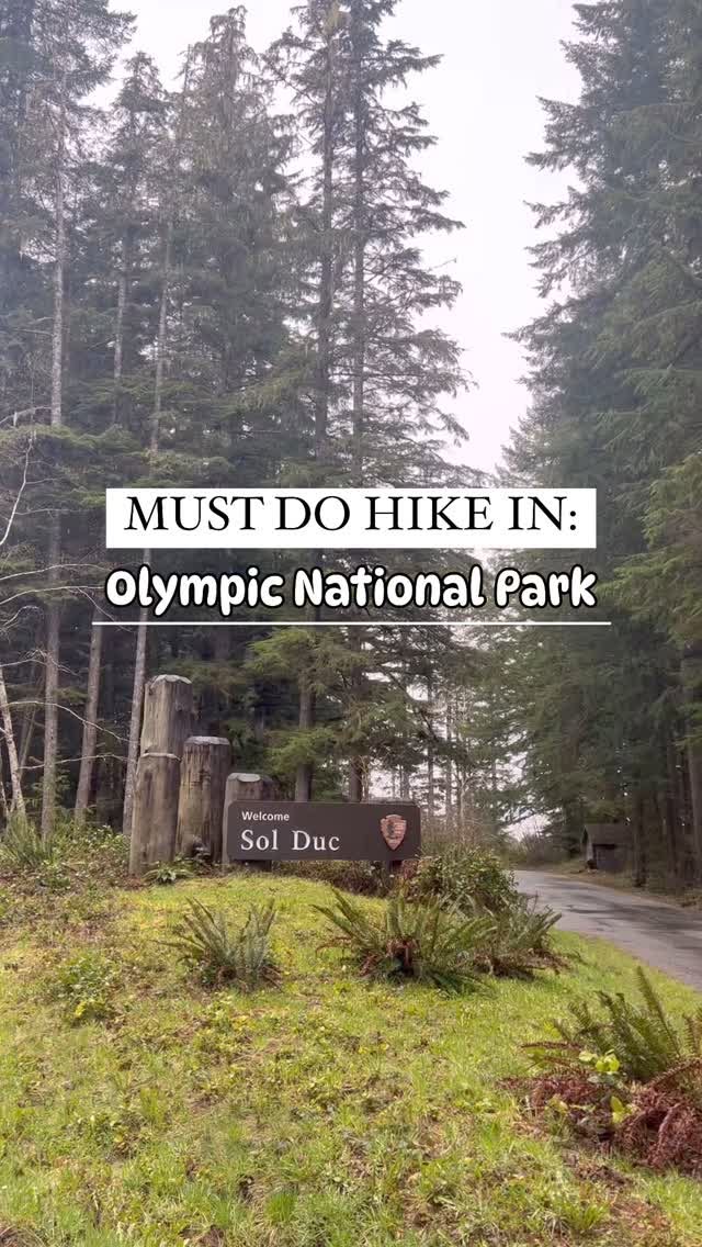 Olympic National Park Hike To Sol Duc Falls