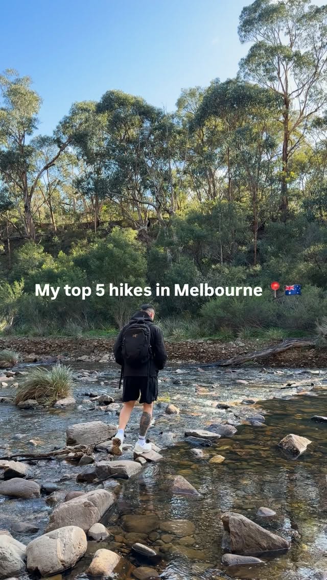 Top Melbourne Hikes With Scenic Vistas