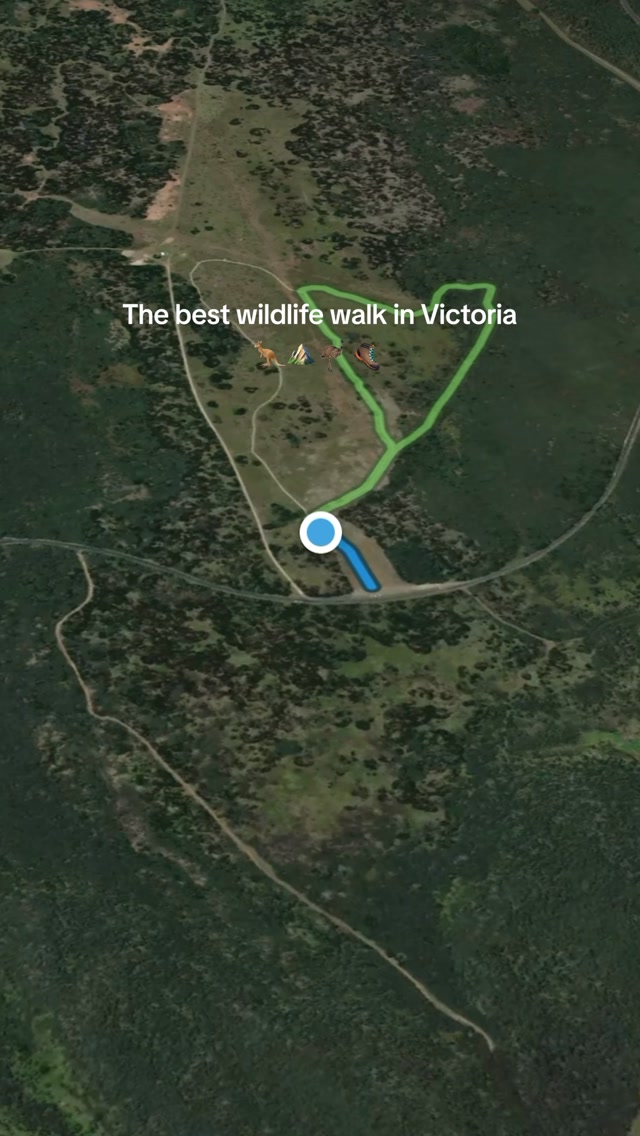Victorian National Park Features Wildlife Walk