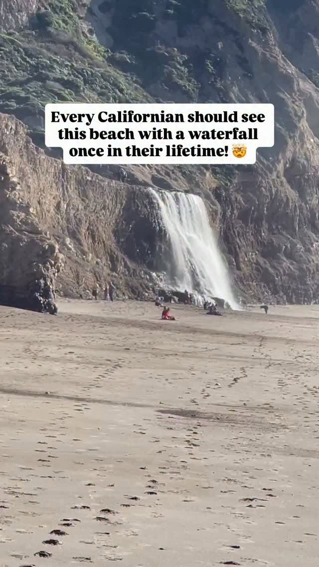 Coastal Hike to Alamere Falls and Wildcat Beach