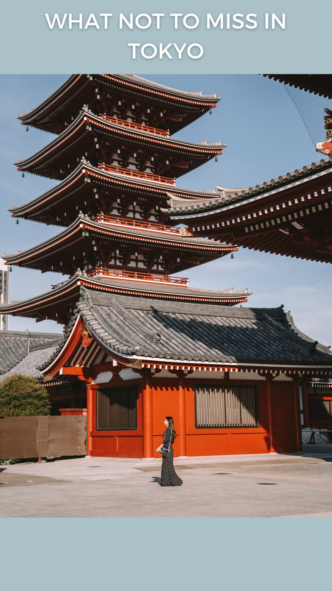 Tokyo Attractions: Temples, Towers, and City Views