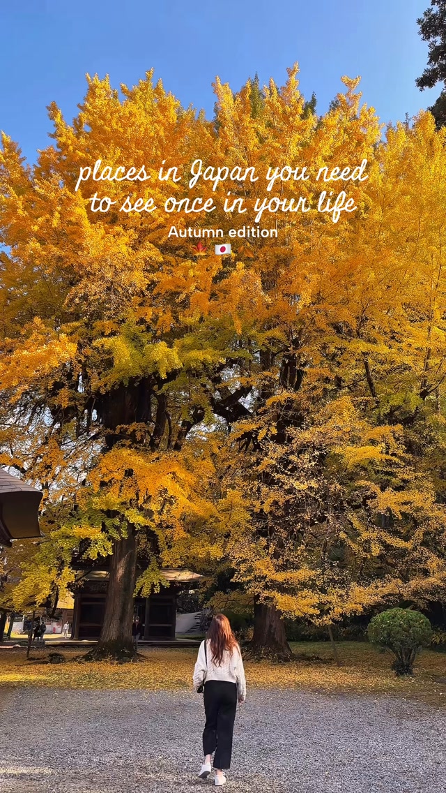 Autumn Beauty Across Eight Japanese Locations