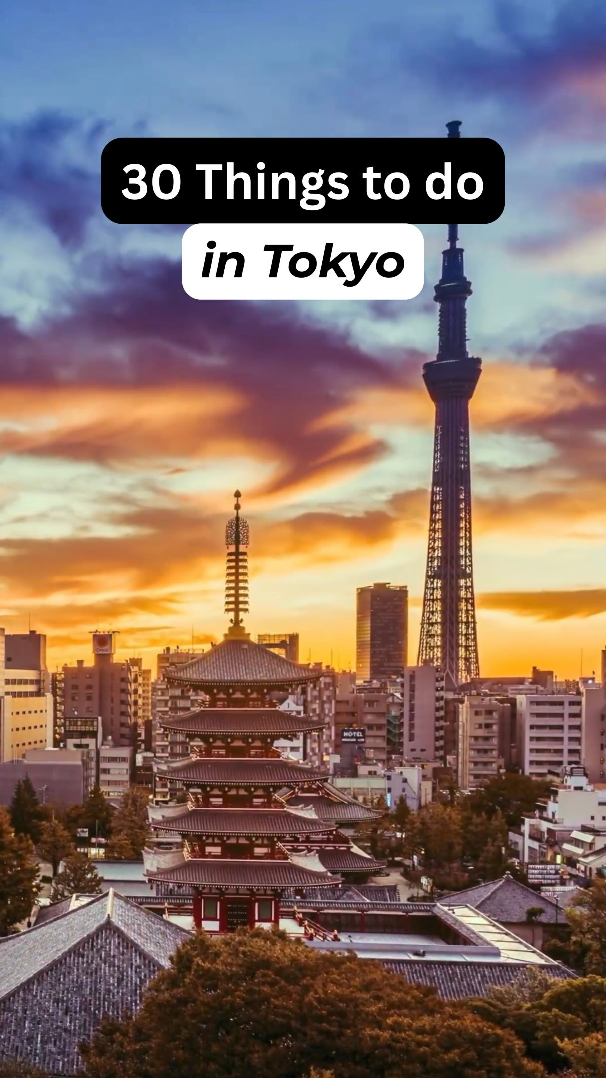 Tokyo's Best Attractions: Landmarks, Food, and Nightlife