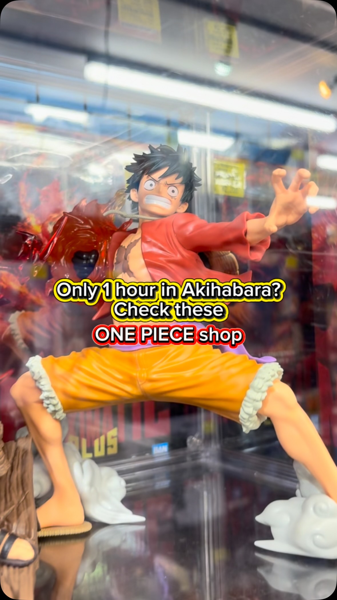 Akihabara's Top One Piece Figure Shops