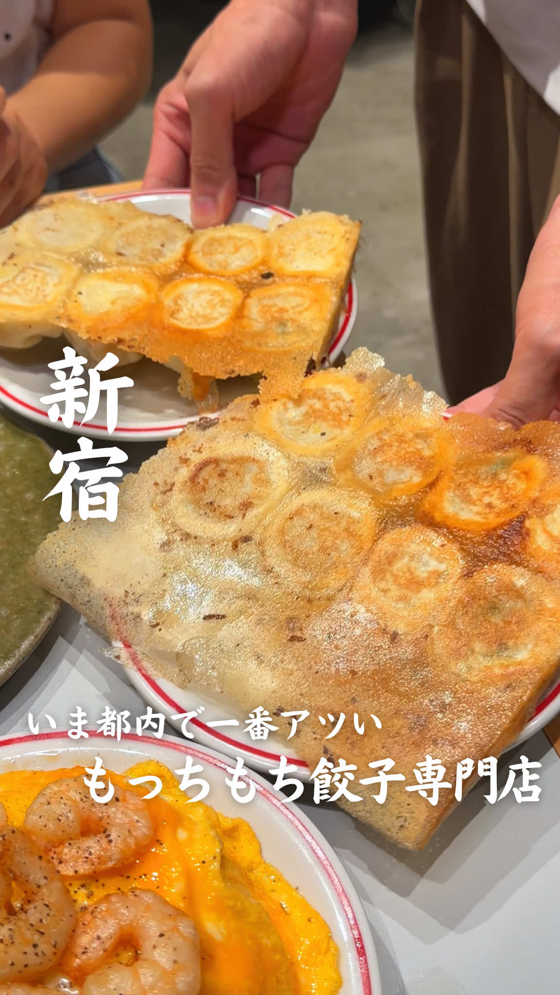 Michelin-Shaped Gyoza at Popular Tokyo Spot