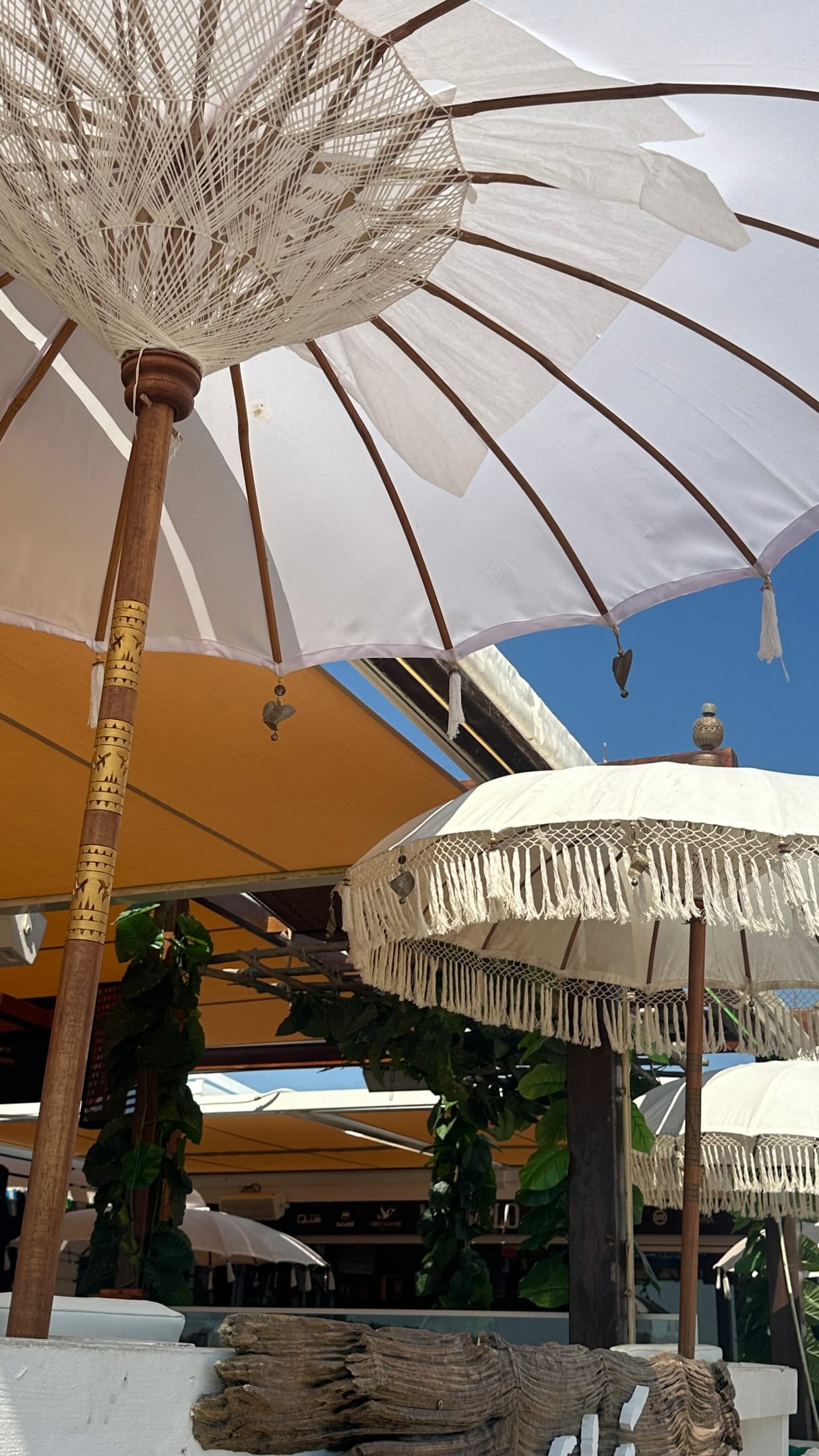 A Cevicheria's Seafood Delights