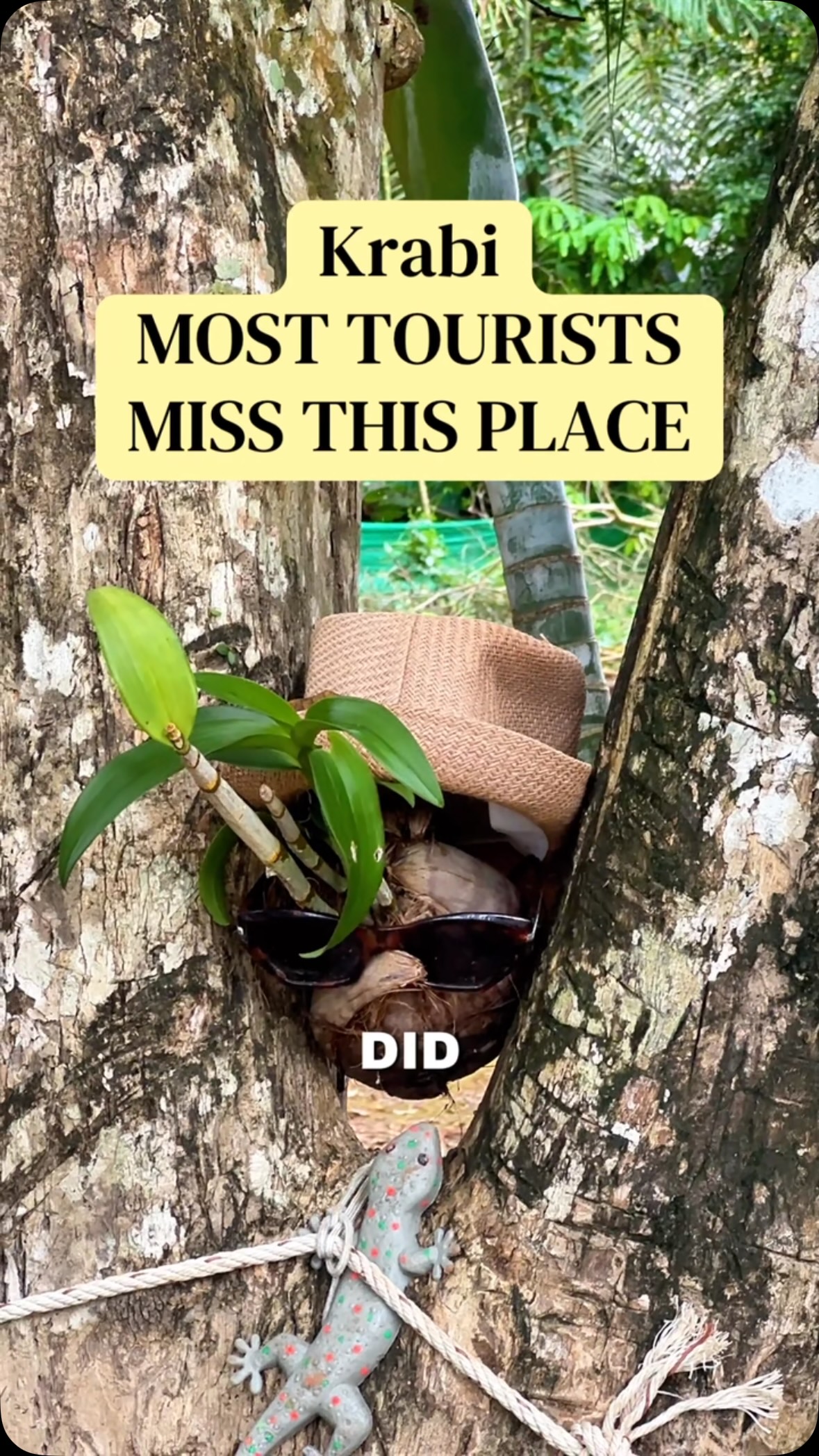 Krabi's Jurassic World Filming Location: Klong Root Canals