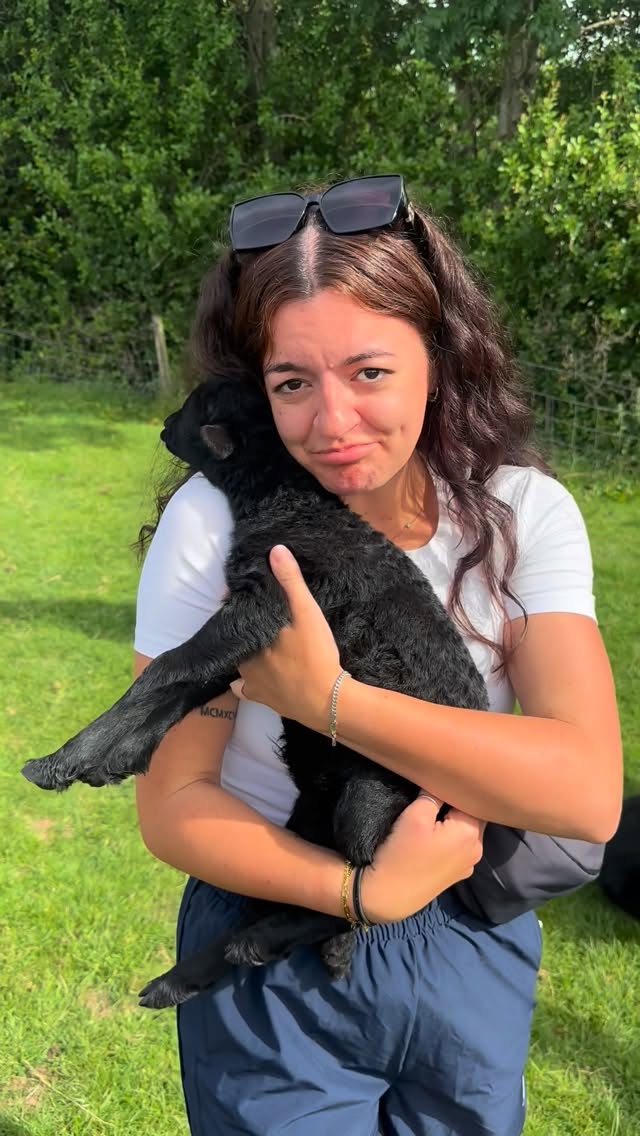 Farm Stays With Animals And Swimming