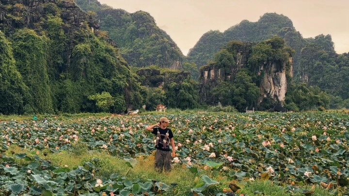 Exploring Northern Vietnam's Stunning Pagodas and Karsts