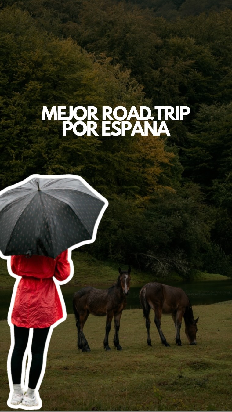 Navarra's Natural Wonders and Historic Sites