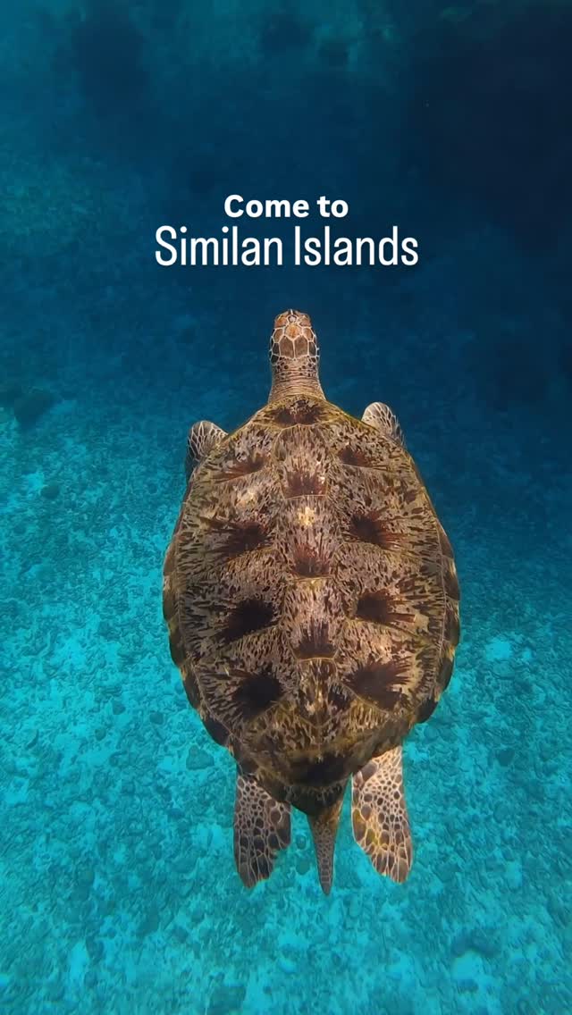 Similan Islands & Khao Lak: Thailand's Paradise Islands