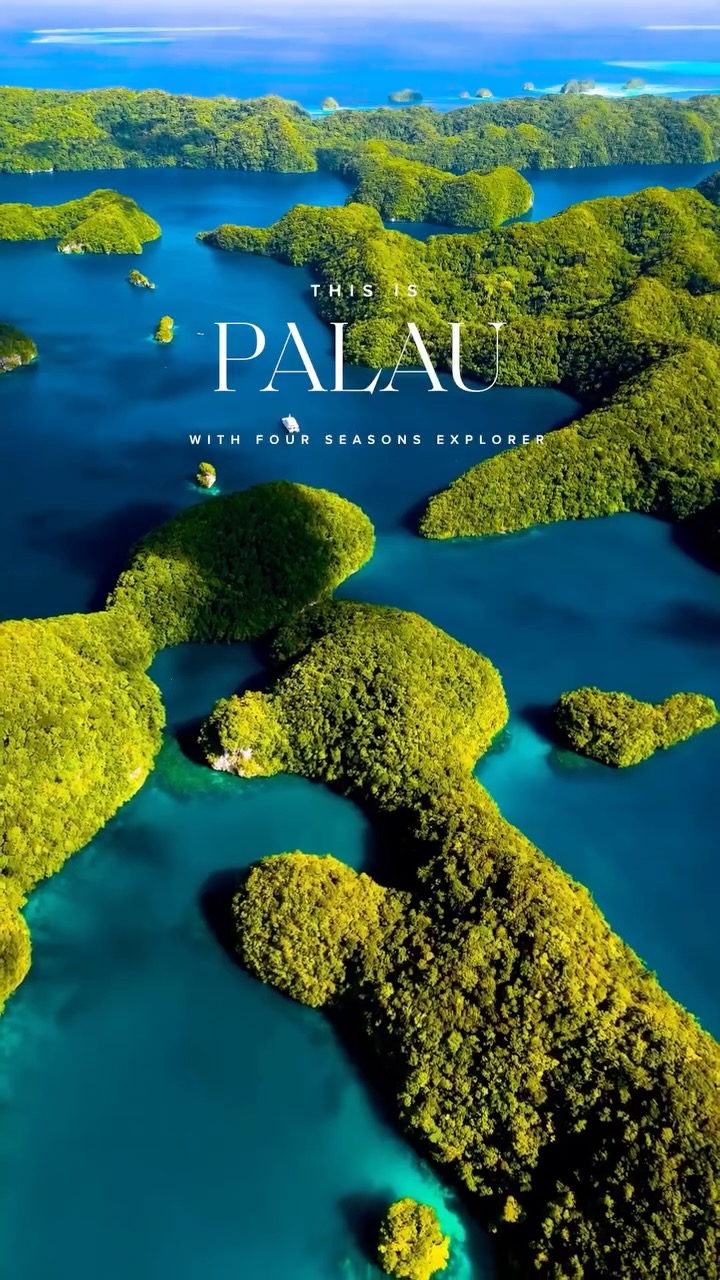 Palau's Islands and Marine Life with Four Seasons Explorer