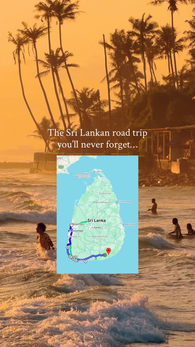 South Sri Lanka's Coastline: Beaches and Wildlife