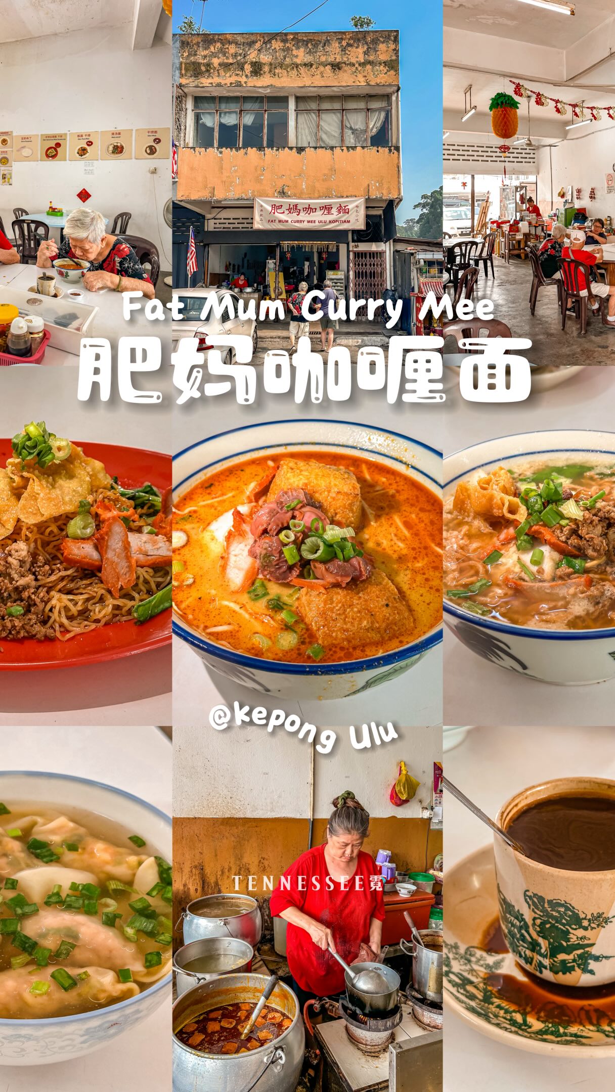 Kepong Noodle Spot's Traditional Kampung Curry Mee