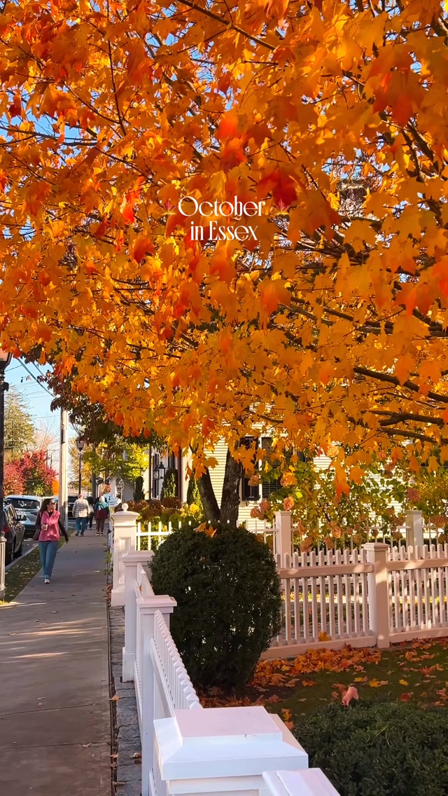 Fall Charm In Essex, Connecticut