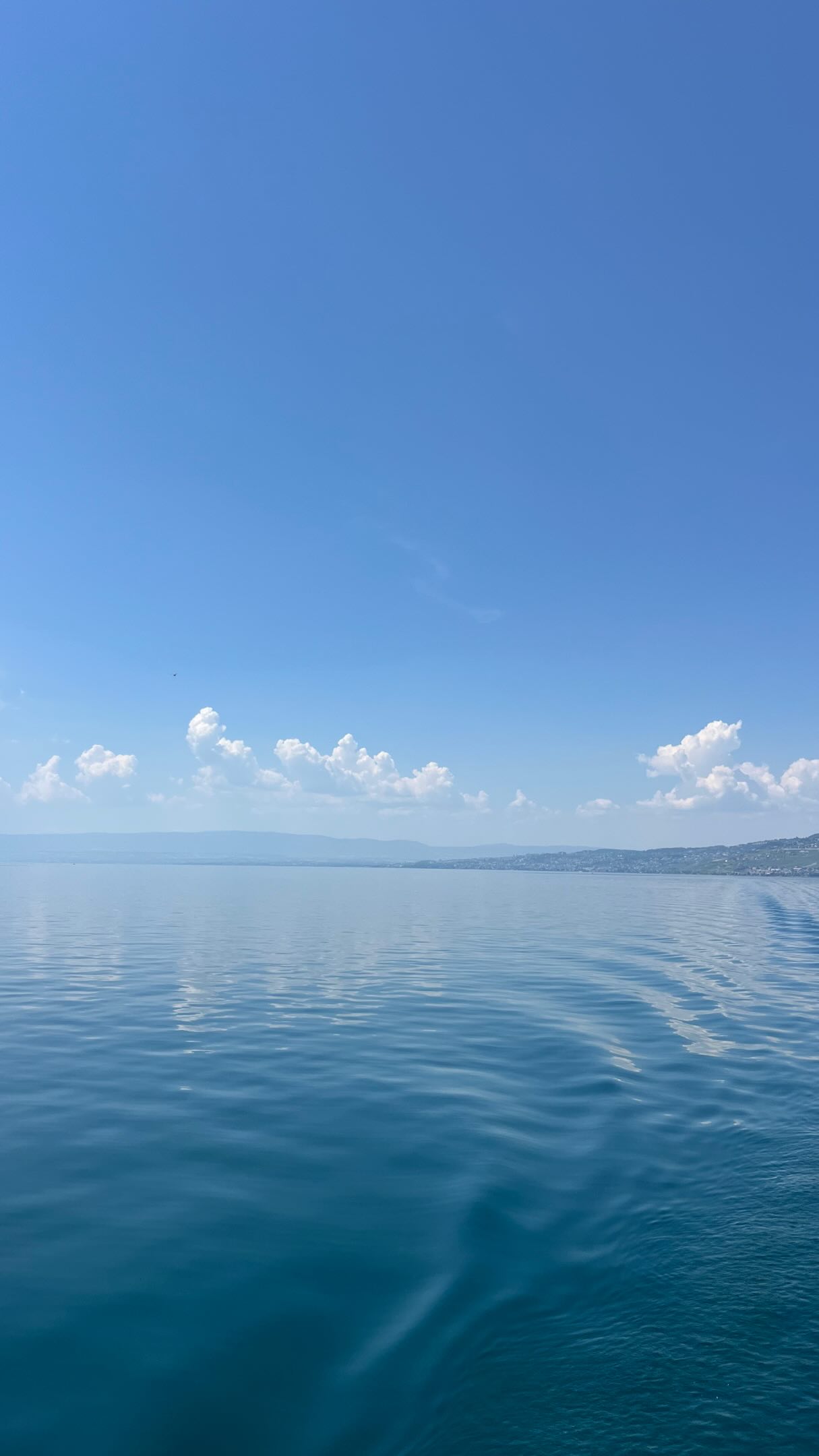 Lake Geneva Cycling Tour Through Lavaux Vineyards