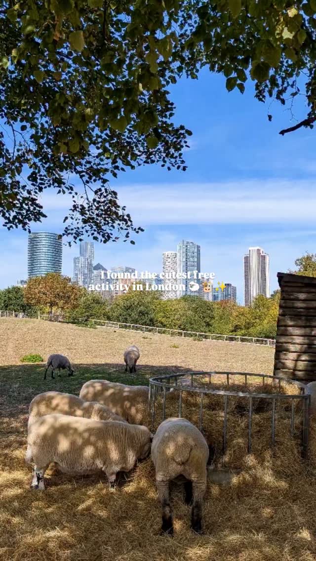 Mudchute Farm: A Free London Escape