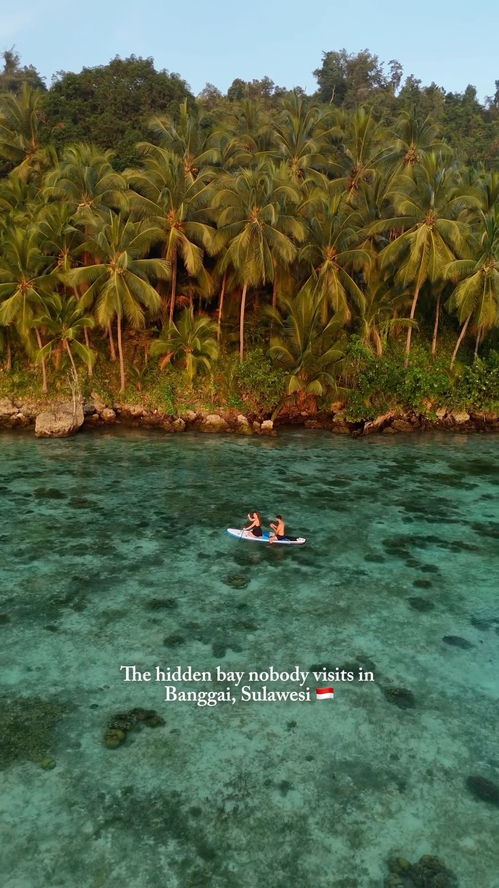 Hidden Bays With Clear Waters And Mangroves