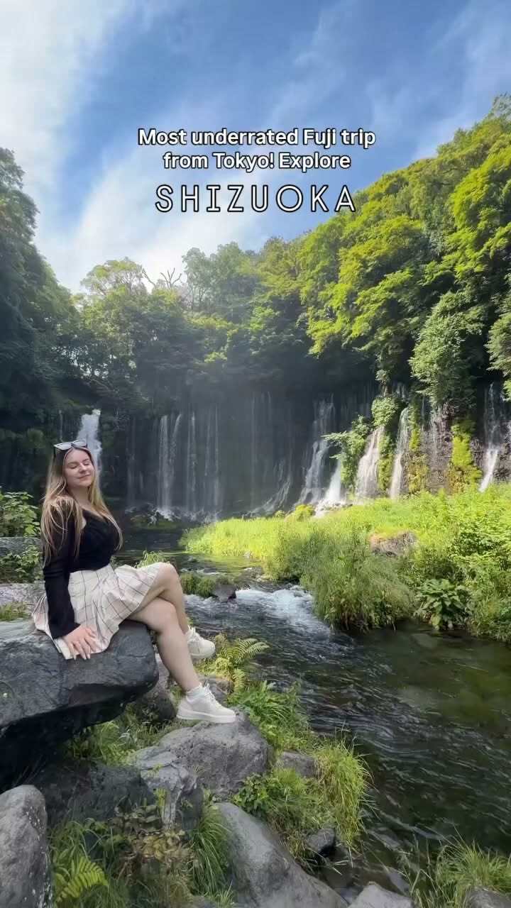 Day Trip to Mount Fuji and Shiraito Falls