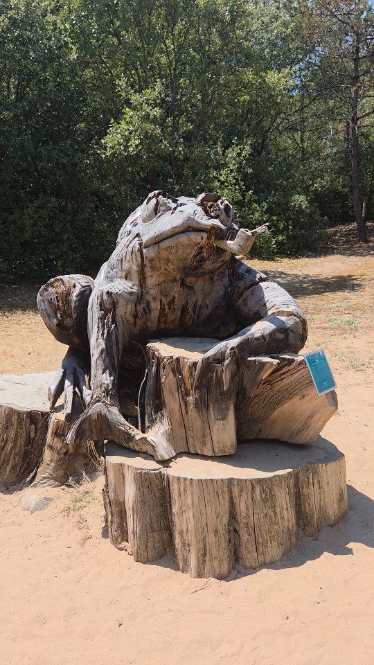 Forest Trail Features Giant Animal Sculptures
