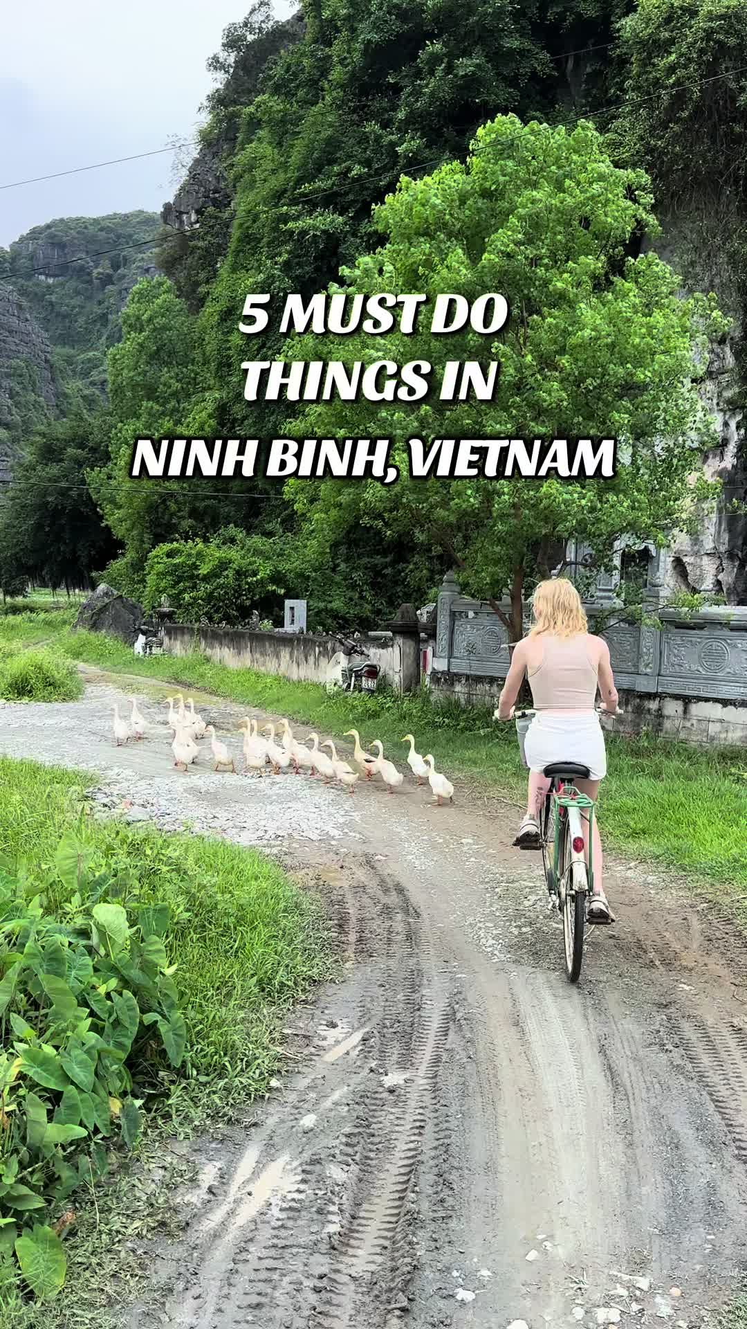 Ninh Binh Attractions: Pagodas, Caves, and Cycling