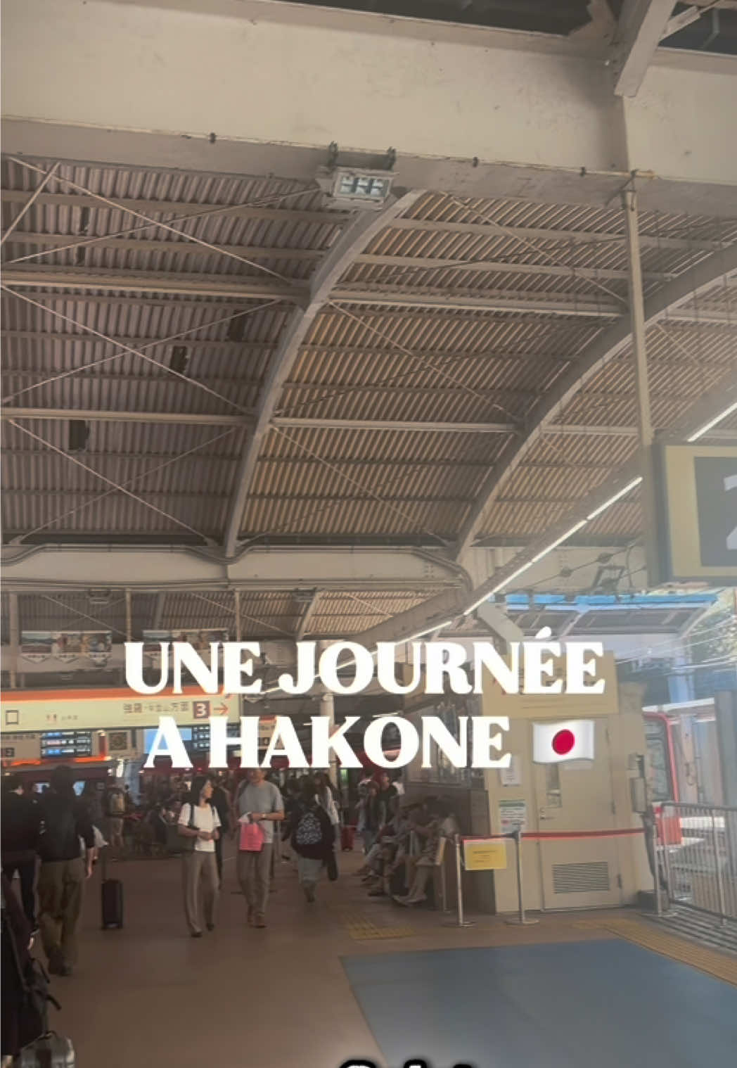 Hakone Day Trip: Ropeway, Lake Ashi, and Volcanic Valley