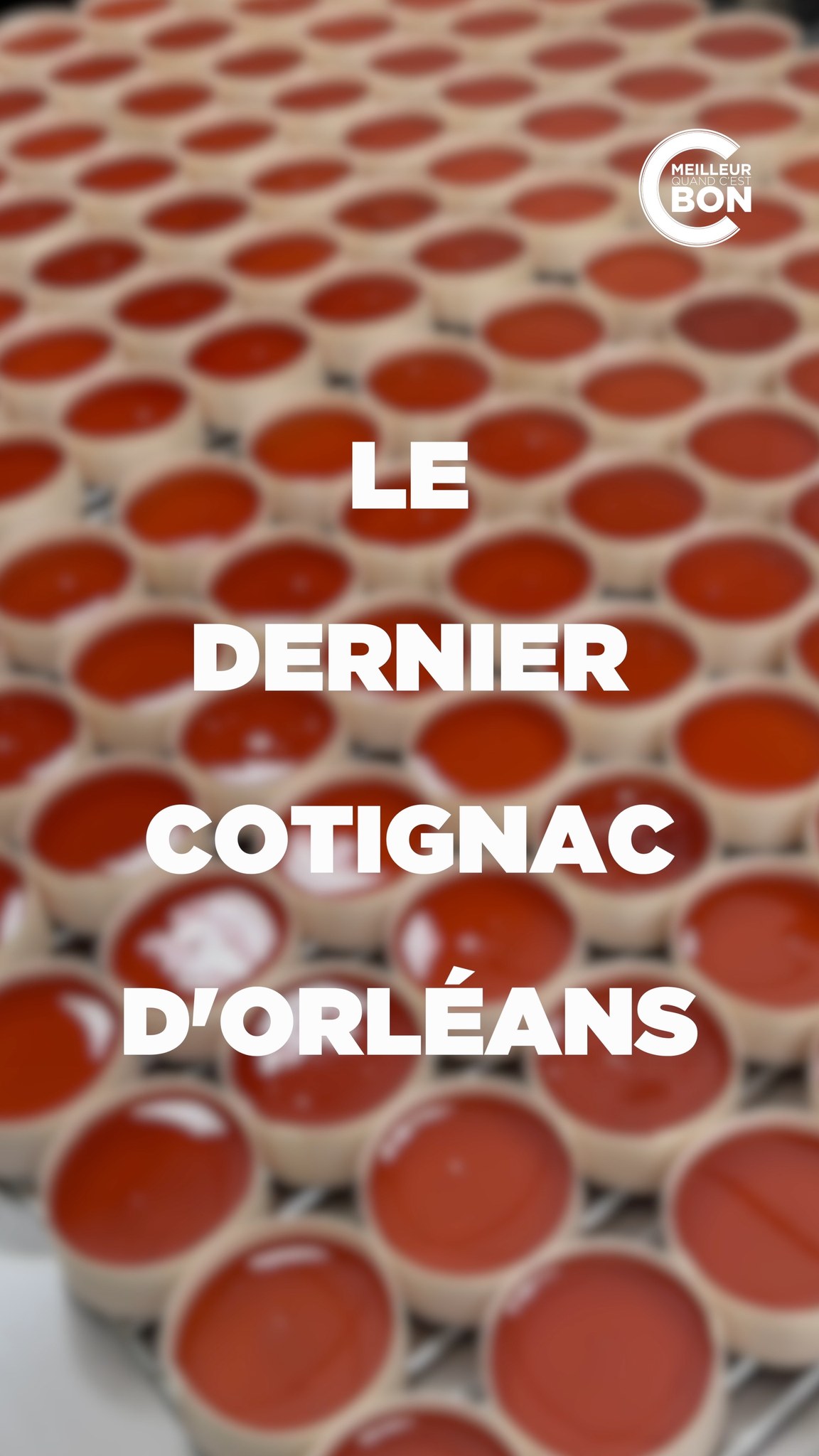 French Artisanal Delicacies: Cotignac and Louvre